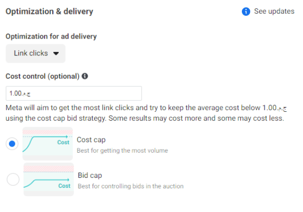 Bidding Strategies