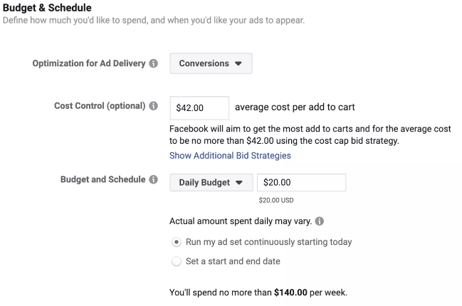 Budget and schedule