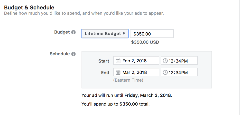 Budget and schedule