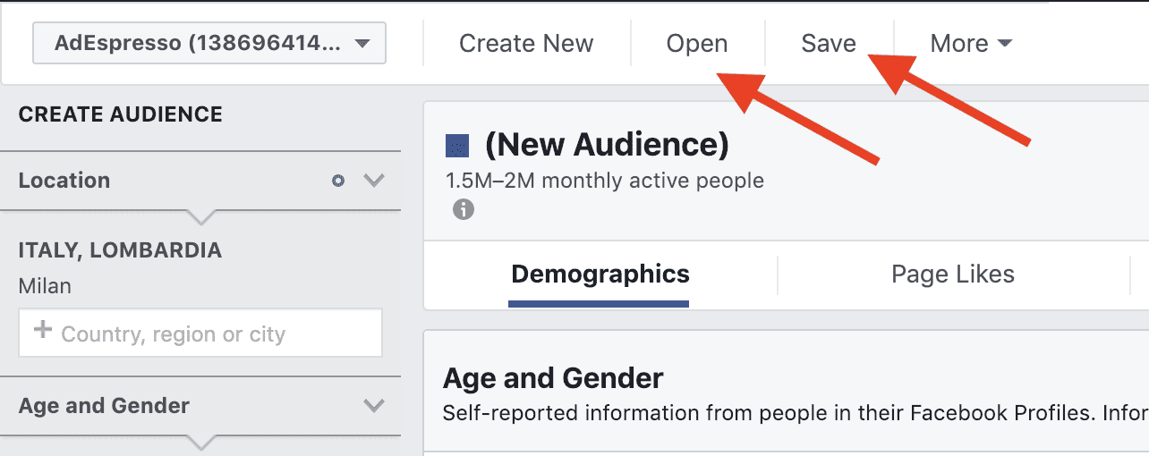 Create Saved Audiences